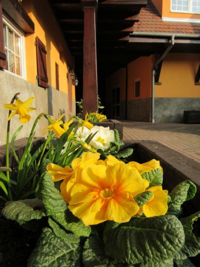 Maison D'Hotes La Ferme Pierre*** Donnenheim Екстер'єр фото